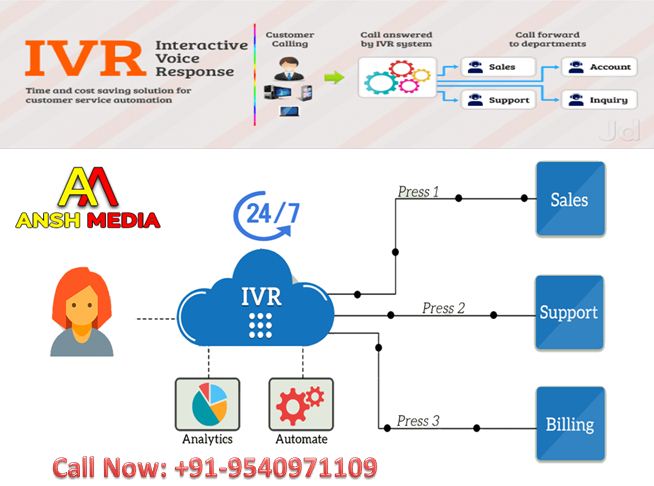 IVR Service Provider.JPG